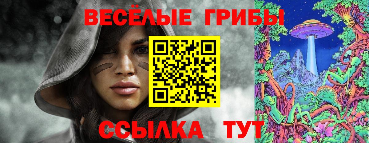 Галлюциногенные грибы мухоморы Михайловка