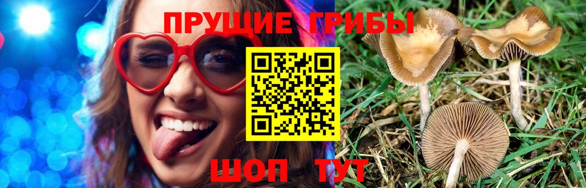 МЕФ   Михайловка  Вход с VPN  Cocaine 