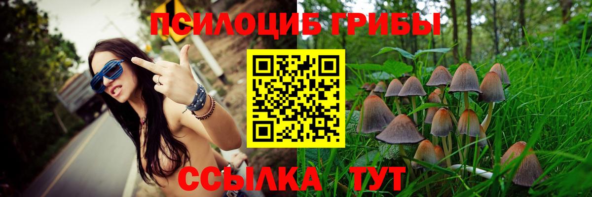 Галлюциногенные грибы MAGIC MUSHROOMS  Вход с VPN  Михайловка 